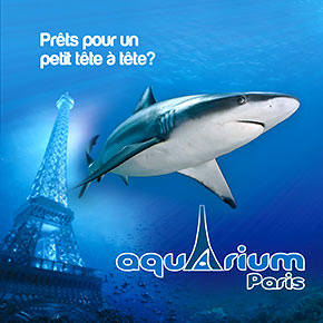 L'anniversaire de mes enfants au Cinéaqua, l'aquarium du Trocadéro à Paris dans le 16ème.