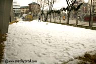 un champ de neige ou l'on pourra construire et sculpter