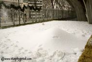 une bosse au milieu du champ de neige amusant!