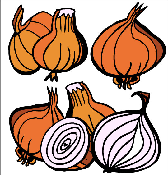 Pour Halloween, le dessin animé La soupe à la Sorcière la soupe a la sorciere legumes oignon