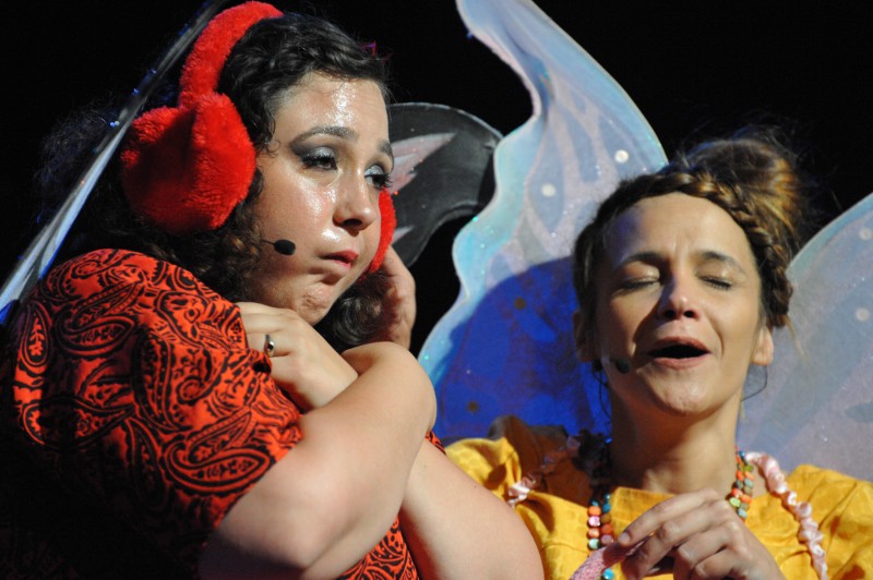 Arcadie et Bethsabée, les fées Papillon