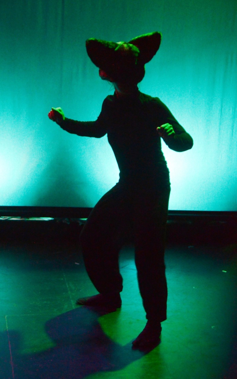 Spectacle enfant à Paris. spectacle des Fables de La Fontaine