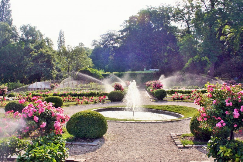 les bassins du Potager des Princes ! bassin jet d'eau