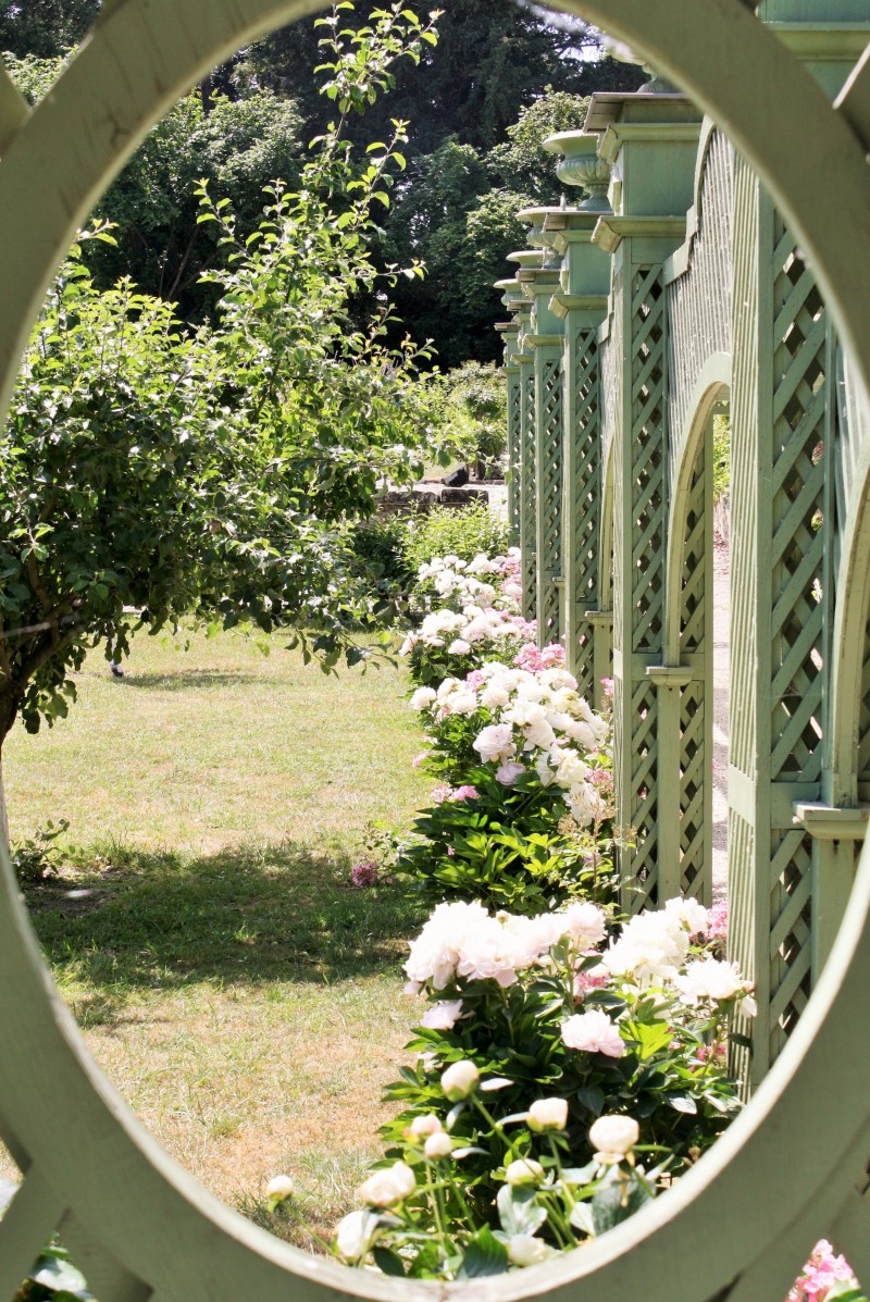 Les fleurs au Potager des Princes
