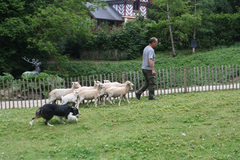 Une après midi au Potager des Princes, une sortie pour les enfants.