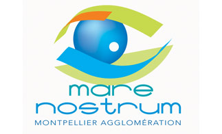Passer noël à l’aquarium de Montpellier, c'est possible ! 
