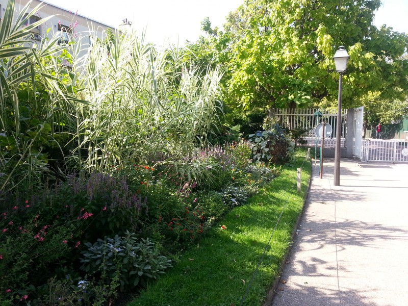 Sortie gratuite à Paris avec les enfants, la coulée verte, des fleurs.