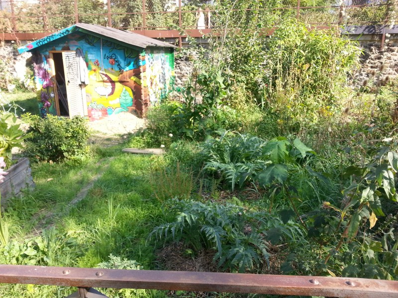 Sortie gratuite à Paris avec les enfants, la coulée verte, le jardin potager caché au fond de la prairie sauvage.