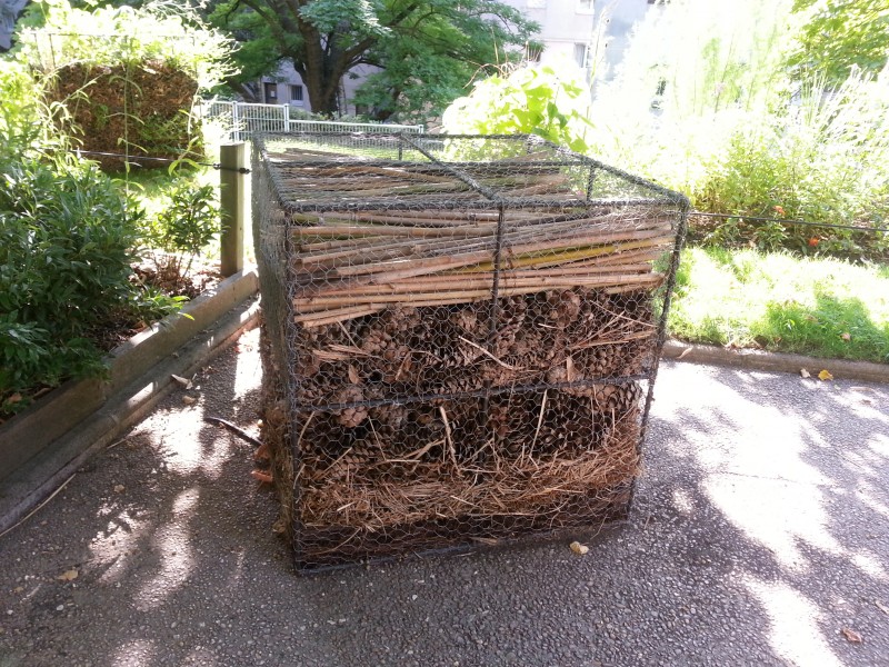 Sortie gratuite à Paris avec les enfants, la coulée verte, la maison des insectes.