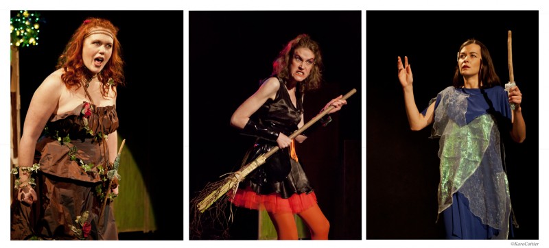 Polluair la sorcière et le petit peuple vert, Spectacle enfant à Aulnay-sous-Bois