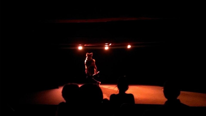 Spectacle pour enfants au théâtre des Variétés à Paris, C'est la mère Michel Mais qui est là ?