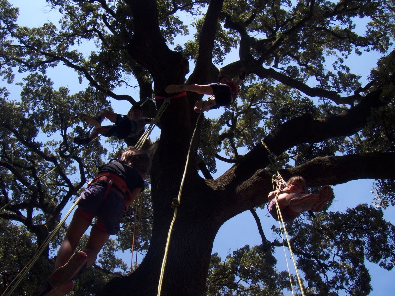 Anniversaire dans les arbres à Montpellier accrobranche