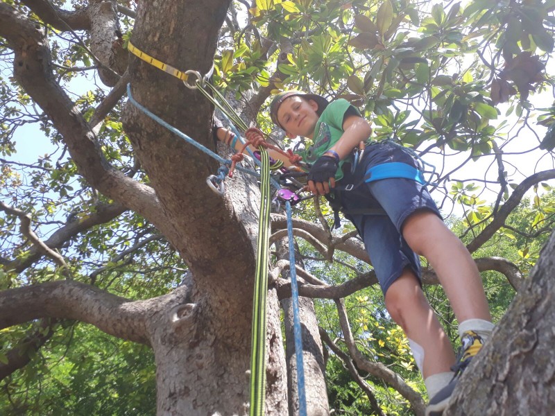 Anniversaire dans les arbres à Montpellier accrobranche