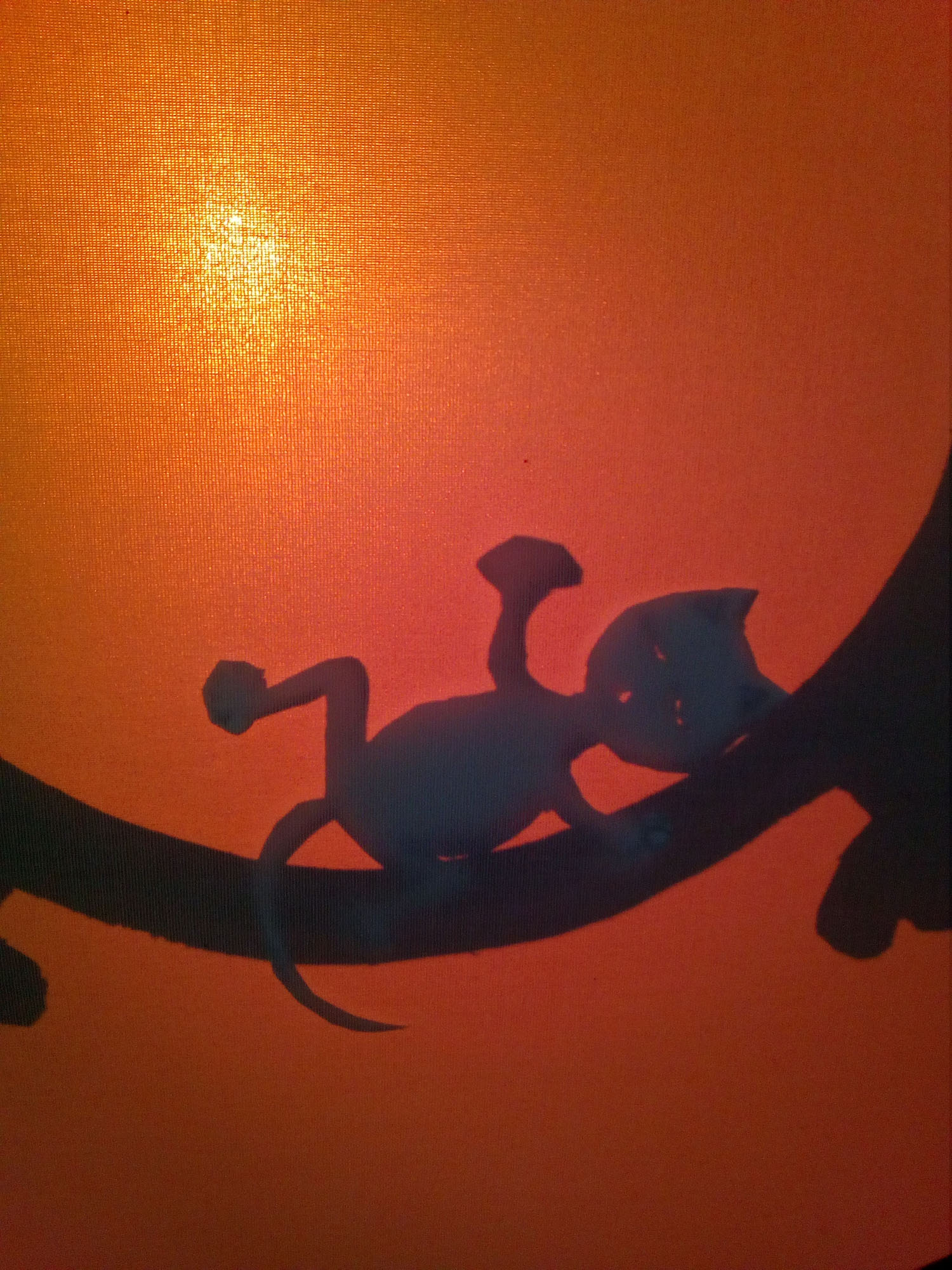 J'suis Là Téoù ? bumble jlto J'suis Là Téoù ? bumble jlto