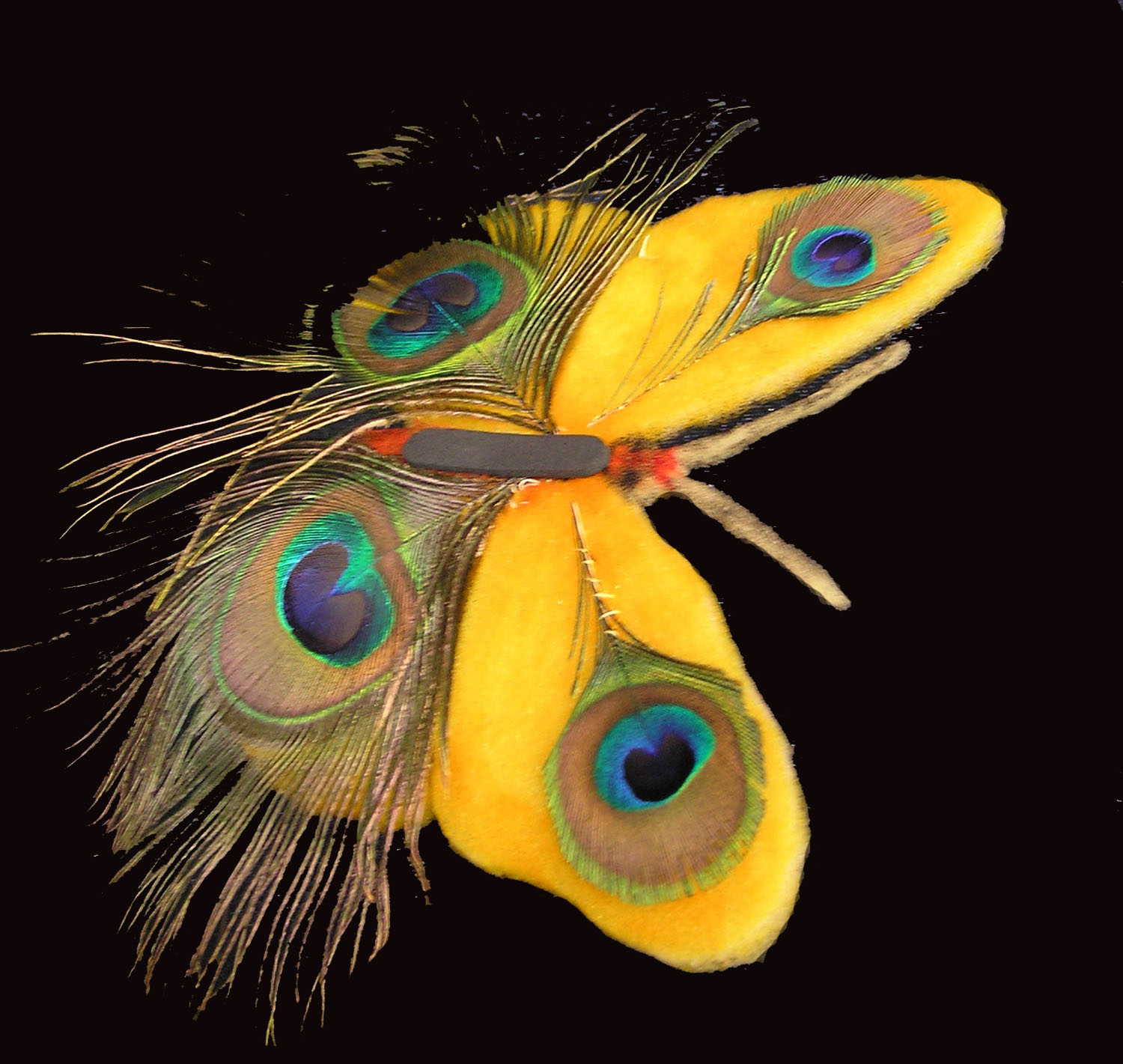 Les aventures de Madame Ficelle papillon 2