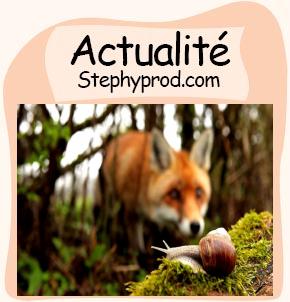 Actualité Casting Les Vétos. Actualité Casting Les Vétos pour les enfants et les bébés.