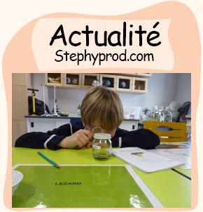 Actualités Atelier enfant. Sélection Stephyprod pour les enfants et la famille.