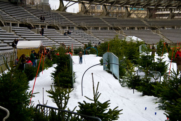 Charléty sur neige. Les sapins et la piste de ski de fond.