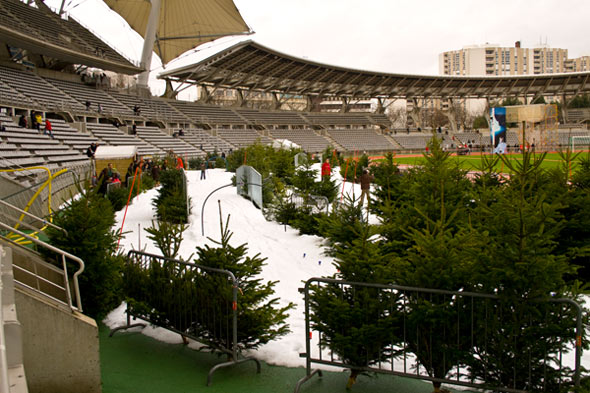 Le ski de fond n'est pas si facile que a. Charléty sur neige 2008. La piste les bosses et les sapins.