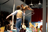 Spectacles jeune public danse et musiques à partir de 4 ans Le cheval de bleu Compagnie Agora Theater. festival Spectacles en recommandés organisés par la Ligue de L'enseignement (FOL)