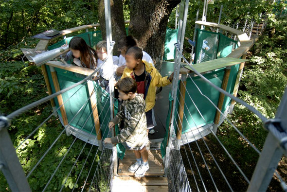 Une sortie pédagogique. Une promenade dans les arbres au-dessus de la forêt de Rambouillet avec les enfants.