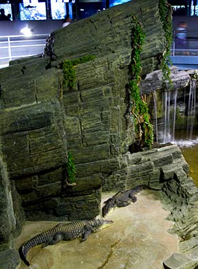 Des sorties pour les enfants à Paris. Une photo de l'aquarium de la porte Dorée.