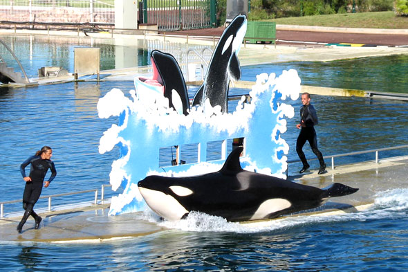 Le bassin des orques, une glissade sur le ventre. Photos parc de loisirs aquatique Marineland.