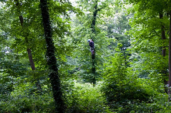 Photos accrobranches.  Photos d'Evasion verte dans le parc de Saint Cloud prises lors de notre visite en mai 2008.