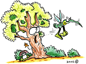petit moustique pique un arbre chanson pour enfants