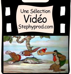 Vidéos Lièvre. Sélection Stephyprod pour les enfants et la famille.