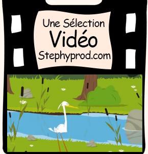 Vidéos Limaçon. Sélection Stephyprod pour les enfants et la famille.