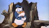Dessin animé Disney Donald Duck - Donald Photographe